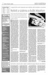 Krónika XIX. évfolyam, 80. szám