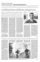 Krónika XIX. évfolyam, 81. szám