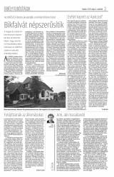 Krónika XIX. évfolyam, 84. szám
