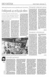 Krónika XIX. évfolyam, 85. szám