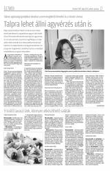 Krónika XIX. évfolyam, 90. szám