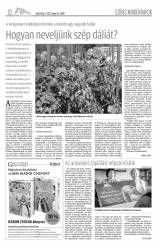 Csíki Hírlap XII. évfolyam 91. szám