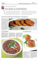 Udvarhelyi Híradó XXVIII. évfolyam, 95. szám