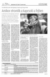 Udvarhelyi Híradó XXVIII. évfolyam, 95. szám