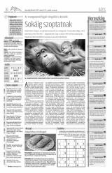 Udvarhelyi Híradó XXVIII. évfolyam, 95. szám