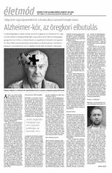 Krónika XIX. évfolyam, 95. szám