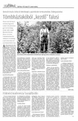 Csíki Hírlap XII. évfolyam, 95. szám