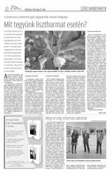 Csíki Hírlap XII. évfolyam, 96. szám
