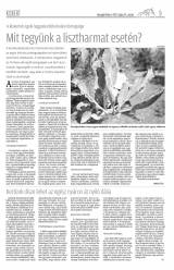 Gyergyói Hírlap VIII. évfolyam 98. szám