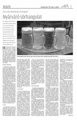 Udvarhelyi Híradó XXVIII. évfolyam, 99. szám