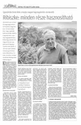 Csíki Hírlap XII. évfolyam, 100. szám