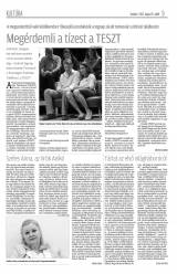 Krónika XIX. évfolyam, 101. szám
