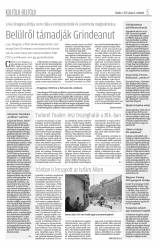 Krónika XIX. évfolyam, 107. szám