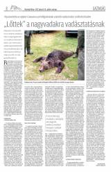 Vásárhelyi Hírlap XI. évfolyam, 113. szám