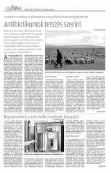 Csíki Hírlap XII. évfolyam, 113. szám