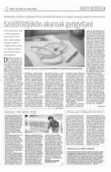 Krónika XIX. évfolyam, 113. szám