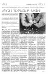 Udvarhelyi Híradó XXVIII. évfolyam, 114. szám