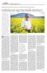 Csíki Hírlap XII. évfolyam, 116. szám