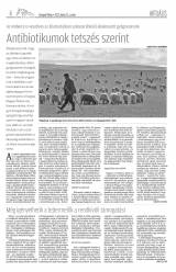 Gyergyói Hírlap VIII. évfolyam 116. szám