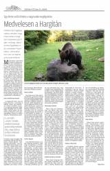 Csíki Hírlap XII. évfolyam, 117. szám