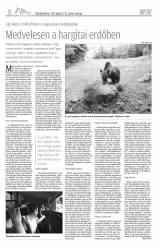 Vásárhelyi Hírlap XI. évfolyam, 118. szám