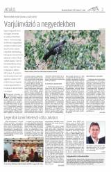 Udvarhelyi Híradó XXVIII. évfolyam, 120. szám