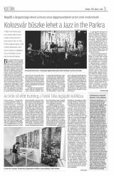 Krónika XIX. évfolyam, 125. szám