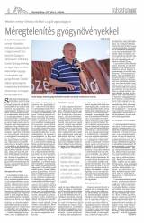 Vásárhelyi Hírlap XI. évfolyam, 127. szám