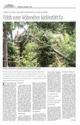 Csíki Hírlap XII. évfolyam, 130. szám
