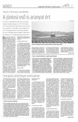 Gyergyói Hírlap VIII. évfolyam 133. szám