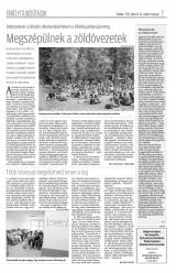 Krónika XIX. évfolyam, 133. szám