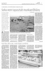 Gyergyói Hírlap VIII. évfolyam 143. szám
