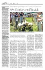 Csíki Hírlap XII. évfolyam, 144. szám