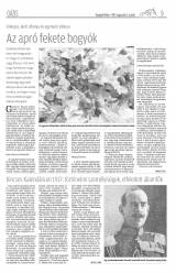 Gyergyói Hírlap VIII. évfolyam 146. szám