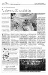 Csíki Hírlap XII. évfolyam, 154. szám
