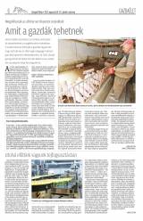 Gyergyói Hírlap VIII. évfolyam 157. szám