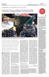 Csíki Hírlap XII. évfolyam, 159. szám
