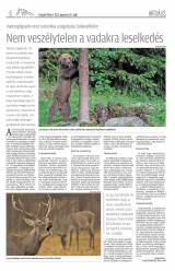 Gyergyói Hírlap VIII. évfolyam, 164. szám