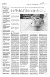 Vásárhelyi Hírlap XI. évfolyam, 164. szám