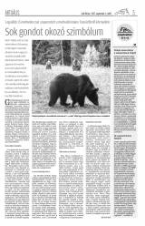 Csíki Hírlap XII. évfolyam, 168. szám