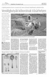 Vásárhelyi Hírlap XI. évfolyam, 180. szám
