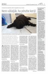 Csíki Hírlap XII. évfolyam, 180. szám