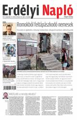 XVII. évfolyam, 38. szám