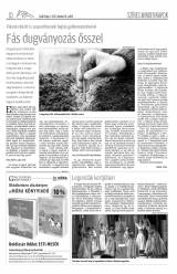 Csíki Hírlap XII. évfolyam, 198. szám