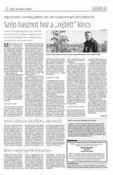 Krónika XIX. évfolyam, 201. szám