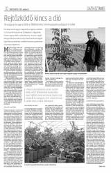 Erdélyi Napló XVII. évfolyam, 42. szám