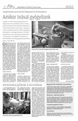 Udvarhelyi Híradó XXVIII. évfolyam, 202. szám
