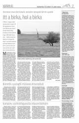 Vásárhelyi Hírlap XI. évfolyam, 207. szám