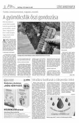 Csíki Hírlap XII. évfolyam, 208. szám