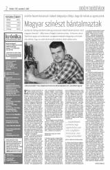 Krónika XIX. évfolyam, 213. szám